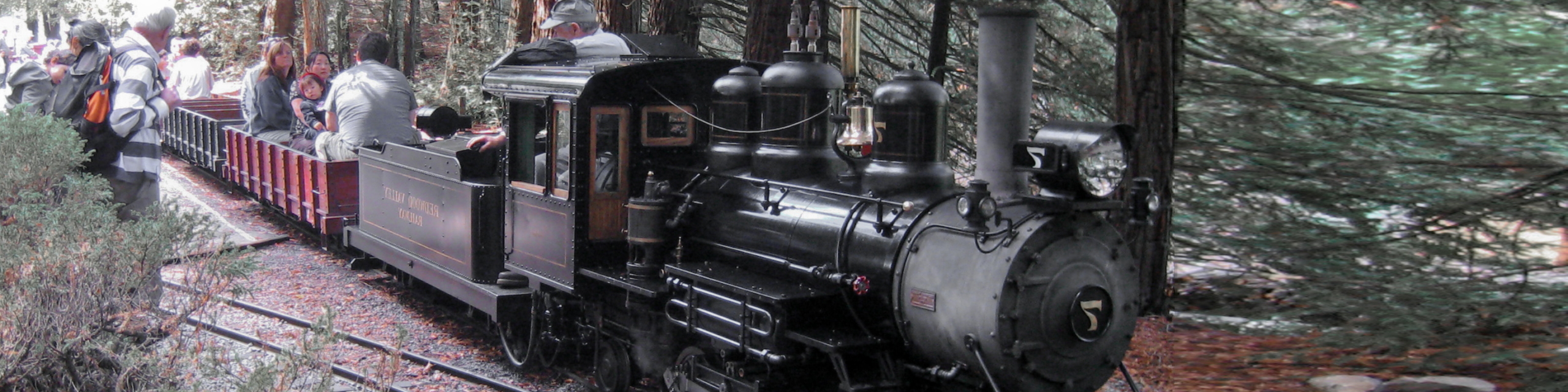 Tilden Park Steam Train Hike