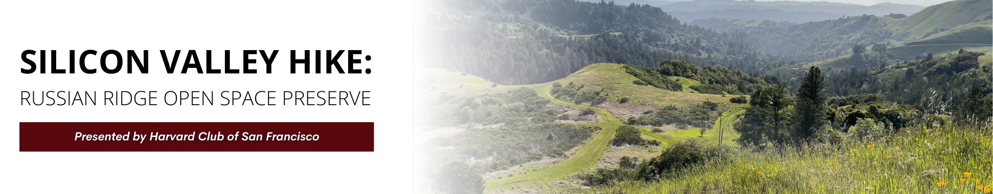 Silicon Valley Hike: Russian Ridge Open Space Preserve