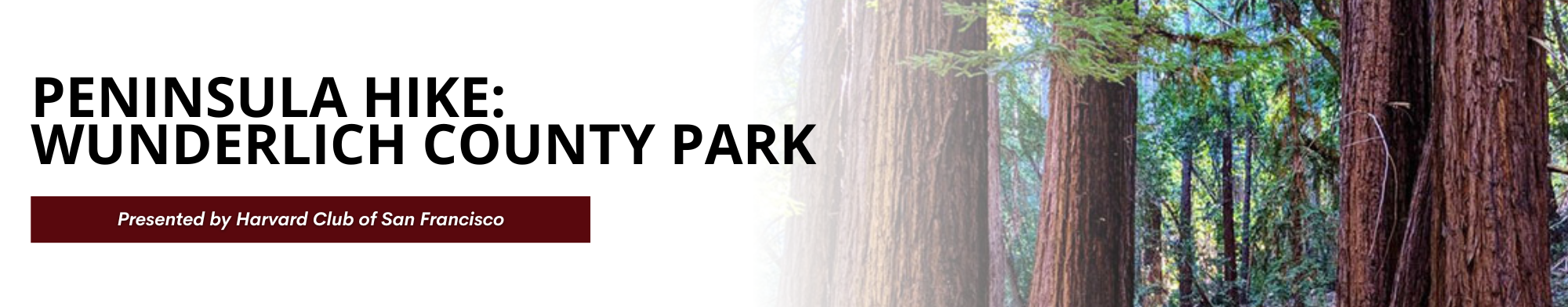 Peninsula Hike: Wunderlich County Park
