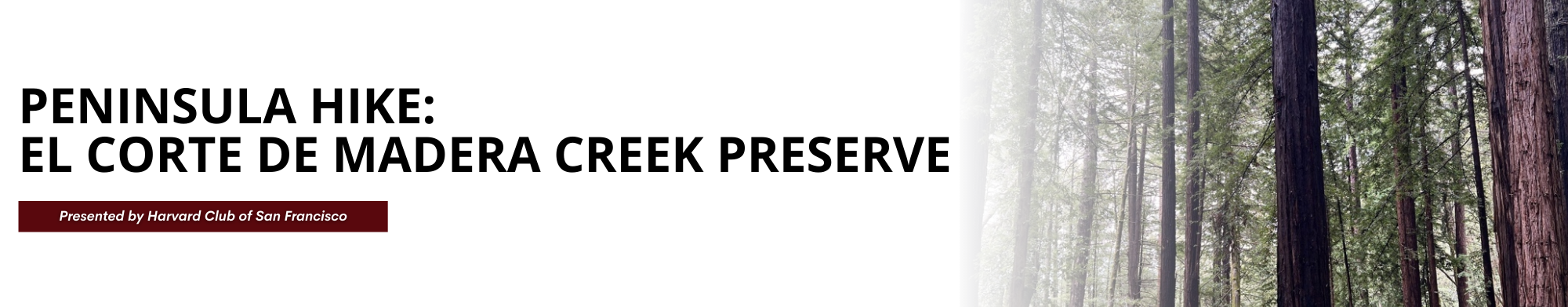 Peninsula Hike: El Corte de Madera Creek Preserve