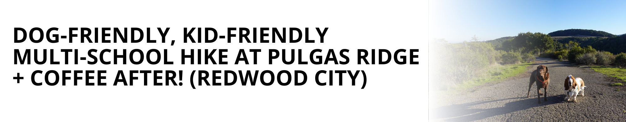 Dog-Friendly, Kid-Friendly Multi-School Hike at Pulgas Ridge + Coffee after! (Redwood City)